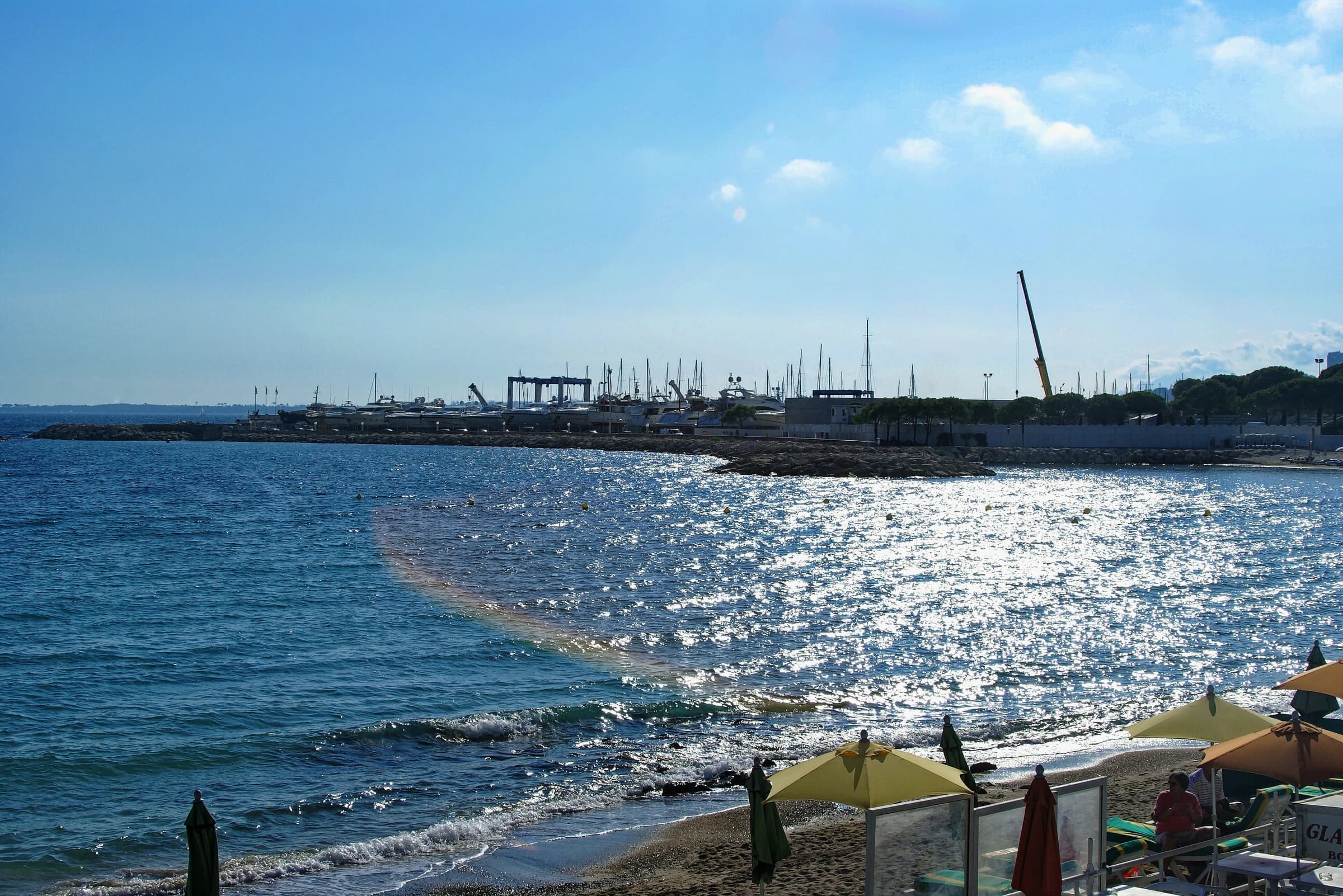 Port Camille Rayon
